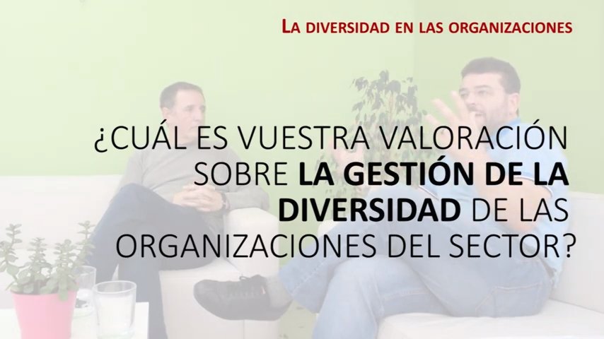 La gestión de la diversidad en el TSS. Conversando con Fernando Fantova y Eduardo Escobes (3)